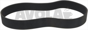 RIEMEN POLY V 1664 L655 16N