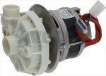 ELEKTROPUMPE FIR 4228SX 0,75HP