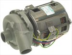 ELETTROPOMPA IS 2/123/ALFA-31 0,80HP