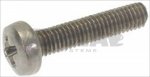 VITE AUTOFORMANTE TCB PH/SW M3x14