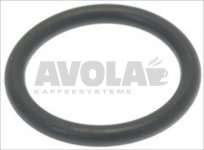O-Ring 24,99 x 3,53