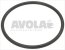 o ring dichtung 0161 epdm