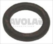 O-Ring Dichtung 02043 EPDM