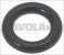 dichtung or 02021 epdm