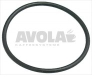 O-Ring Dichtung 0176 EPDM