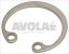 seegerring j 20