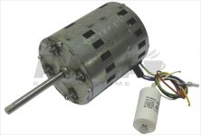 MOTOR