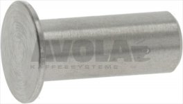SCHARNIERBOLZEN FÜR TÜR ø 6x16 mm